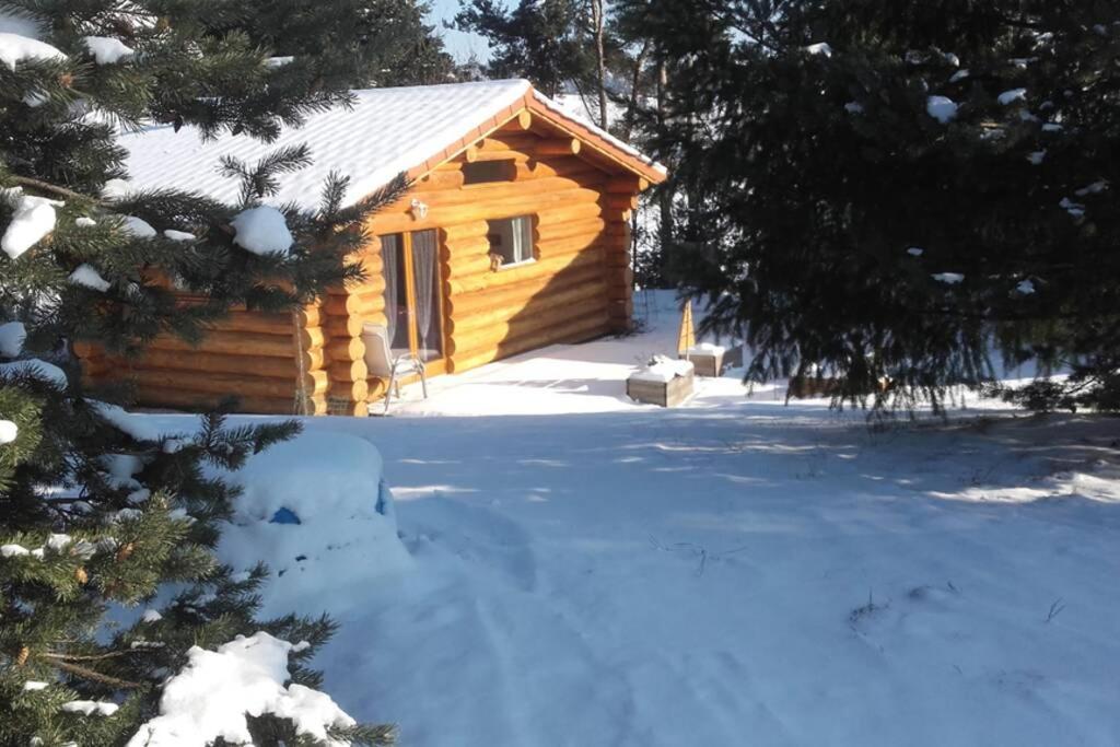 Pialous:Chalet En Rondins Avec Espace Detente La Chapelle-d'Aurec Exterior photo